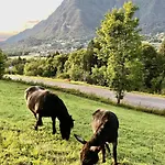 In Village, Mountain View Morillon