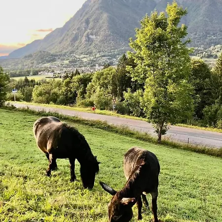 In Village, Mountain View Morillon