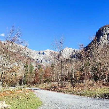 In Village, Mountain View Appartement
