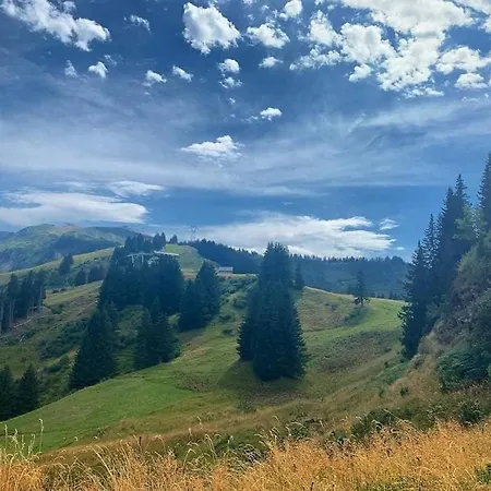 In Village, Mountain View