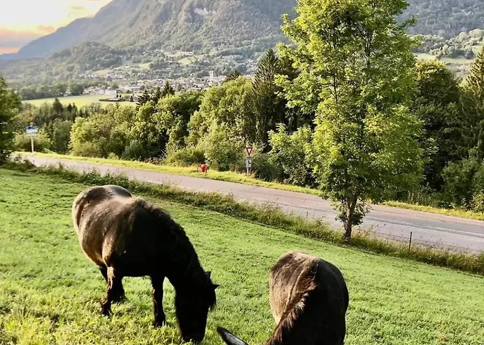 In Village, Mountain View Morillon