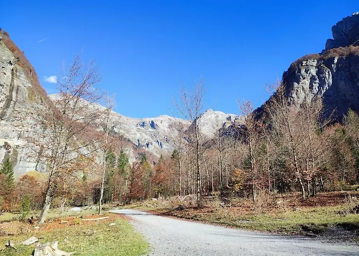 In Village, Mountain View Appartement
